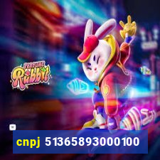 cnpj 51365893000100